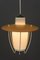 Austrian Pendant Lamp, 1950s 9