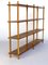 Dutch Pine & Birch Shelving in the Style of Willem Lutjens, 1950s 4