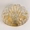 Golden Ice Glass Shell Wall Sconce from Kalmar, 1960s 7