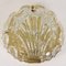 Golden Ice Glass Shell Wall Sconce from Kalmar, 1960s, Image 6
