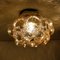 Amber Bubble Flushmount / Wall Sconce by Helena Tynell, 1960s 15