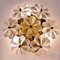Glass and Brass Floral Wall Light by Ernst Palme, 1970s 4