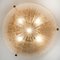 Textured Sunbrust Flush Mount / Wall Sconce by Hillebrand, 1960s 10