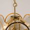 Smoked Glass and Brass Chandelier Attributed to Vistosi, Italy, 1970s 7