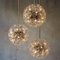 Floral Brass and Glass Chandeliers in the Style of Emile Stejnar, Set of 3 7