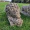 Sleeping Stone Lions, 1950s, Set of 2 6