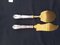 Ice Cream Serving Implements with Silver Handles, 1890s, Set of 2 5