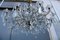 Large French Maria Theresa Crystal Chandelier, 1950s, Image 6