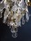 Lámparas de araña de cristal y bronce, Imagen 6