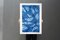 Monotype grande, formas subacuáticas brumosas, azul, 2021, Imagen 8