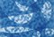 Große Monotype, Neblige Unterwasserformen, Blau, 2021 5