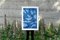 Monotype grande, formas subacuáticas brumosas, azul, 2021, Imagen 6