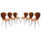 Mid-Century Teak Metal and Black Chairs by Carlo Ratti, Italy, 1950s, Set of 6 1