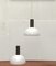 Mid-Century Pendant Lamps from Beisl Leuchten, Set of 2 1