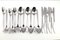 2070 Cutlery Set by Helmut Alder for Amboss, 1950s, Set of 18 1