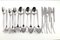 2070 Cutlery Set by Helmut Alder for Amboss, 1950s, Set of 18, Image 1