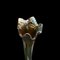 Vaso alto floreale, anni '30, Immagine 8
