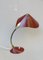 Cobra Desk Lamps from Cosack, 1950s, Set of 2 15