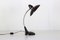 Vintage Table Lamp, 1950s 1