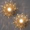 Amber Glass Wall Lights Sconces by Helena Tynell for Glashütte Limburg, Set of 2 8