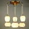 Glass & Brass 6-Light Ceiling Lamp from Doria Leuchten, 1950s 5