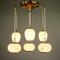 Glass & Brass 6-Light Ceiling Lamp from Doria Leuchten, 1950s 2