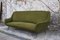 Geschwungenes Sofa von Gigi Radice für Minotti, 1950er 3