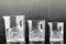 Juego de jarra Marguerite de vidrio de CJ Riedel para Riedel, años 60. Juego de 3, Imagen 1