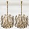Small Citrus Swirl Smoked Glass Chandeliers from Kalmar, 1960s, Set of 2 13