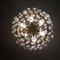 Lámpara de araña de cristal, años 60, Imagen 7