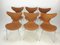 Set of Lily Swivel Chairs by Arne Jacobsen for Fritz Hansen, 1960s 5