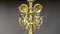 Antique Brass Church Chandelier, 1850s 5