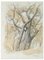 Serge Fontinsky, Tree Trunks, Ink, Mid-20th Century 1
