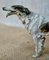 Russian Painted Bronze Borzoi 2