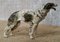 Borzoi ruso de bronce pintado, Imagen 4