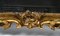 Specchio Luigi XV in legno dorato, Immagine 6