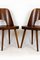 No. 515 Wooden Dining Chairs by Oswald Haerdtl for TON, 1950s, Set of 4 13
