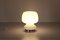White Opal Table Lamp, 1950s, Image 6