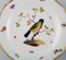 Antique Meissen Plates in Hand Painted Porcelain with Birds, 19th-Century, Set of 2 2