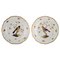 Antique Meissen Plates in Hand Painted Porcelain with Birds, 19th-Century, Set of 2 1