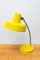 Mid-Century Adjustable Gooseneck Desk Lamp, 1950s 8