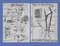 Alberto Moravia, Mappa dei biglietti, Lettere con disegni, 1956, Immagine 1