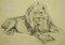 Stampa di un disegno di Wilhelm Lorenz, leone, anni '40, Immagine 1