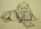 Wilhelm Lorenz, Lion, Pencil Drawing on Paper, 1940s 1