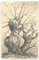 Dibujo a lápiz, árbol, Georges-Henri Tribout, principios del siglo XX, Imagen 1