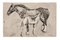 Germaine Nordmann - Horses - Original Ink and Watercolored Drawing - Mid-20th Century, Image 1