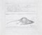 Leo Guida, Dead Rat, Pencil Drawing, 1971, Image 1