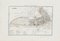 Desconocido, Mapa de Lyon, Aguafuerte, siglo XIX, Imagen 1