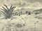 Desconocido - Landscape with Agave - Original Drawing de Robert Block - años 70, Imagen 1