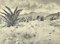 Unknown - Landscape with Agave - Original Drawing by Robert Block - 1970s 1